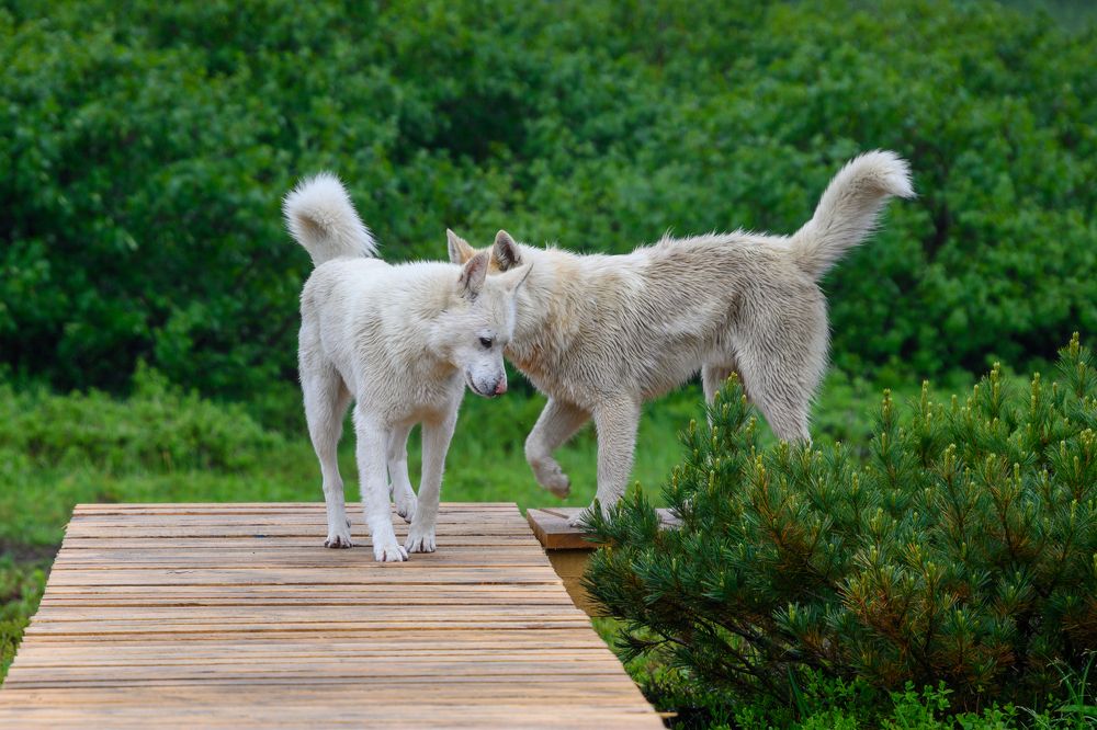 Photograph by Тарас