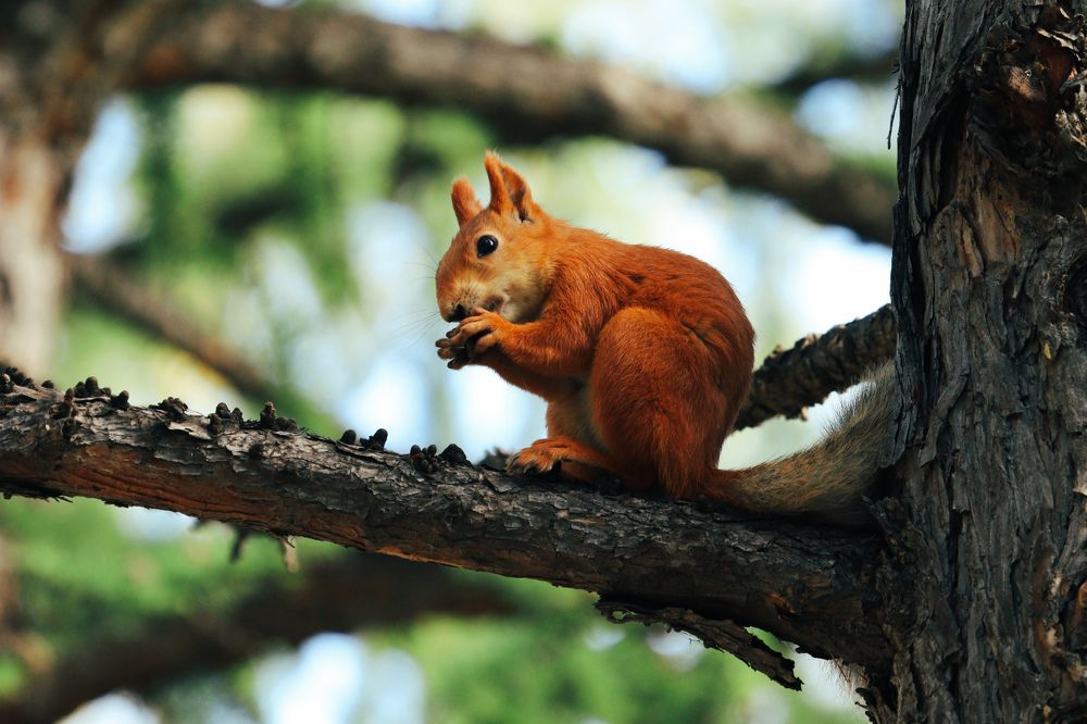 Photograph by Вася Кадочников