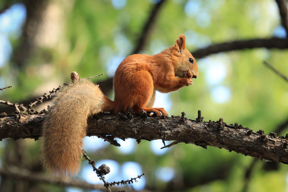Photograph by Вася Кадочников