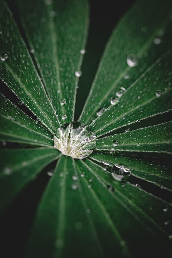 Photograph by Юлия Соболева