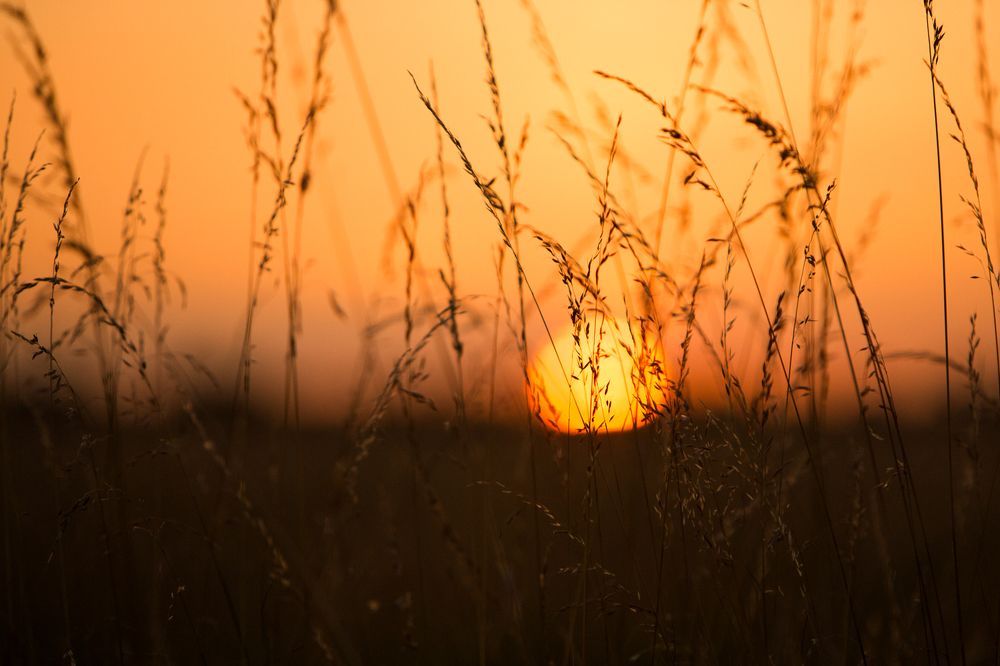 Photograph by Petrov Ivaylo