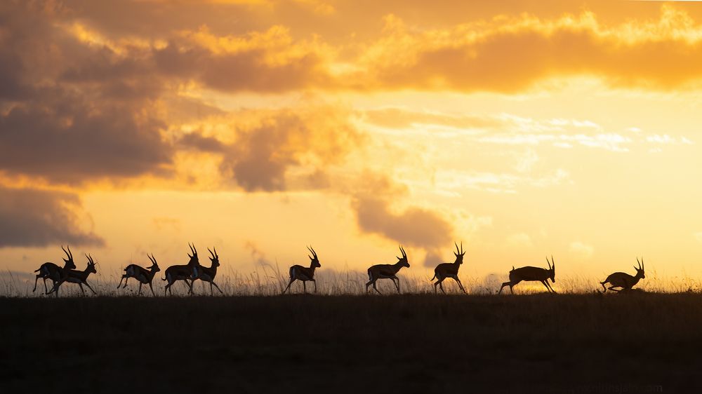 Photograph by nitin jain