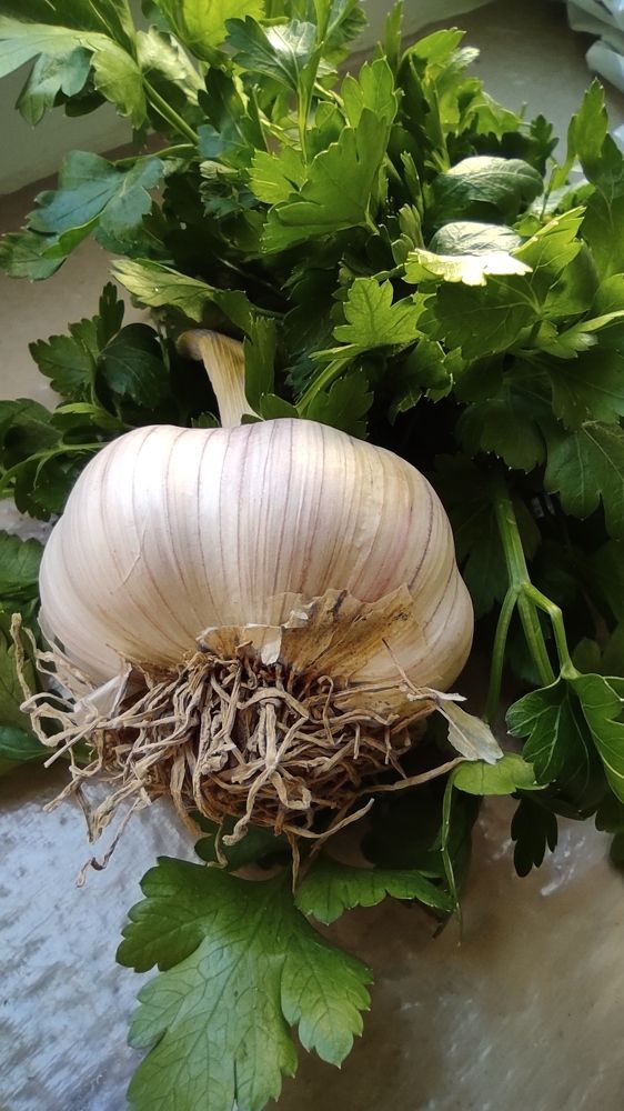 Photograph by Lidija Jevremovic