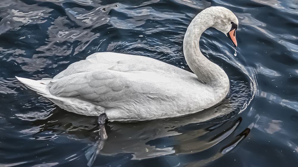 Photograph by Oleksandr Podust