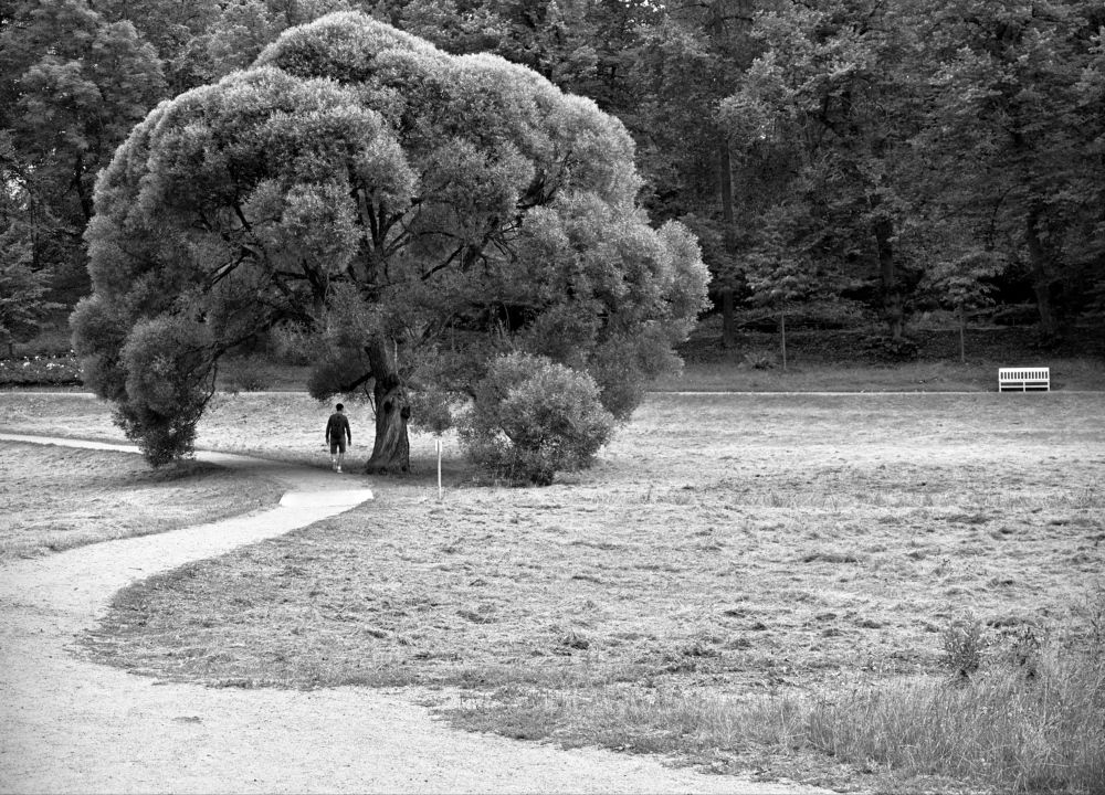 Photograph by Екатерина Степанова