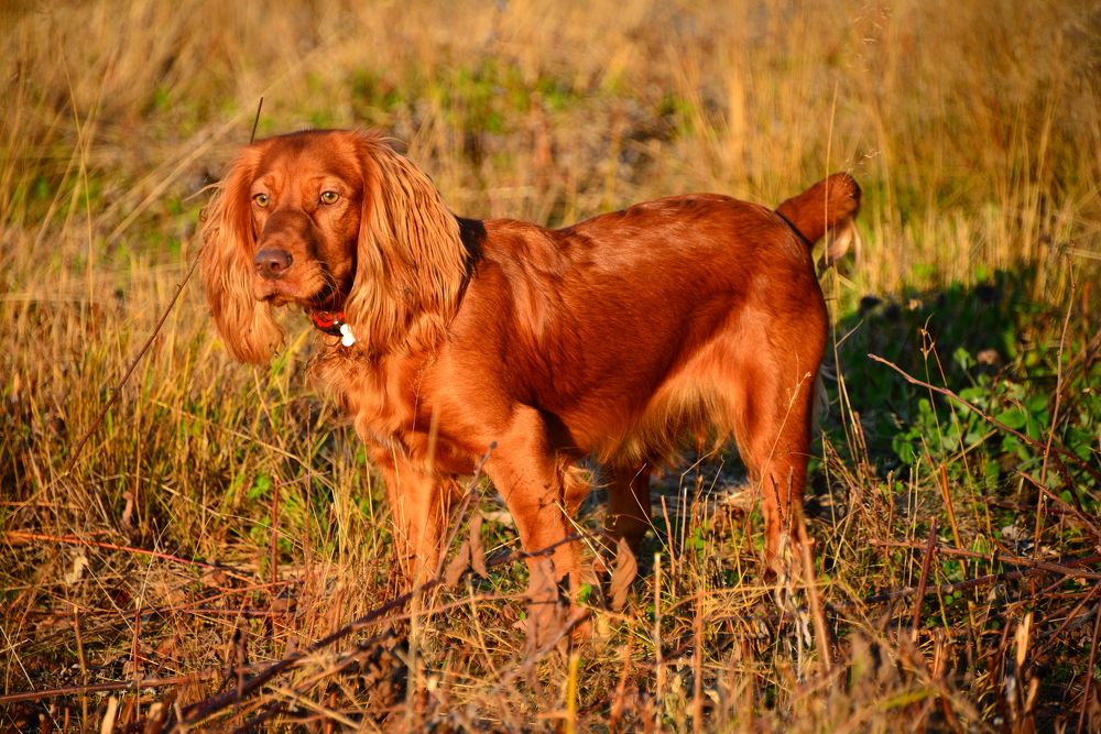 Photograph by Дмитрий Юдин