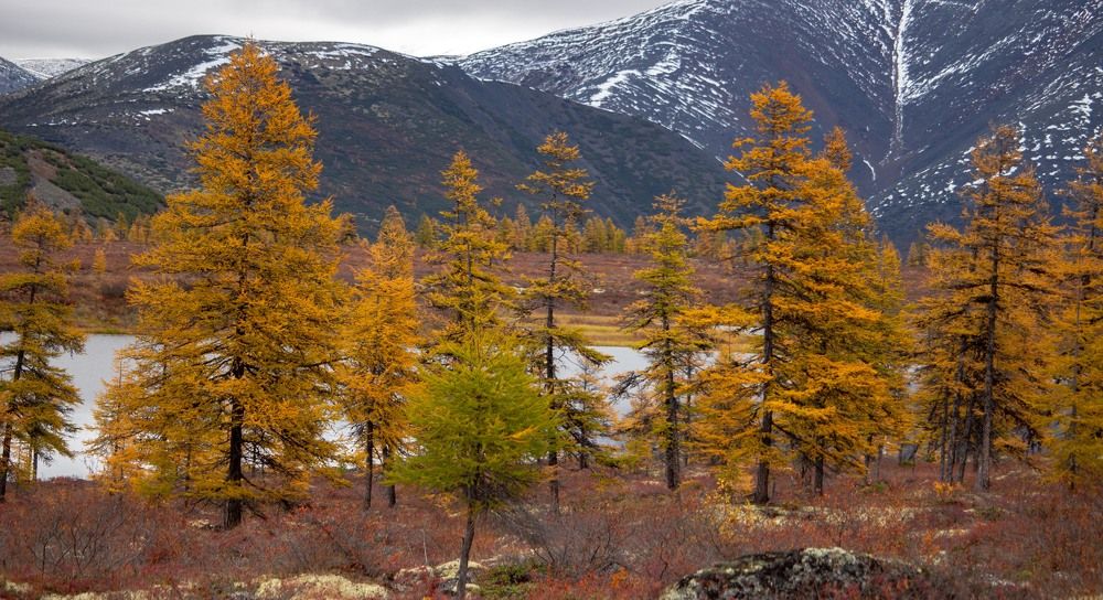 Фотография автора Александр Довганюк