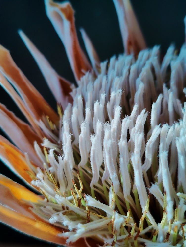 Photograph by Татьяна Гулакова