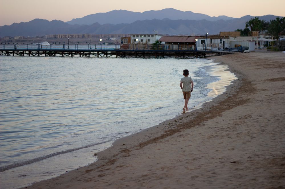 Фотография автора Анна Хейфиц