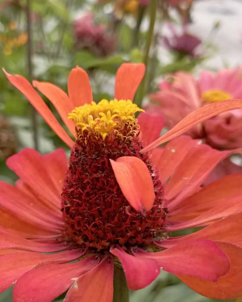 Photograph by Анастасия Кичигина