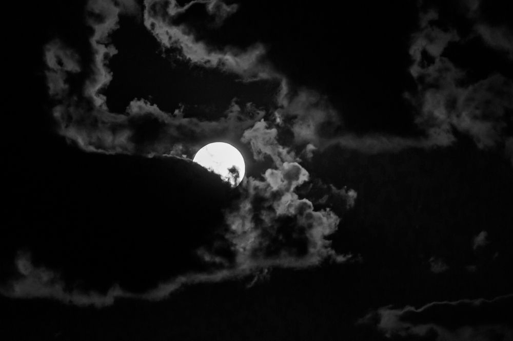 Photograph by Алексей Пирязев