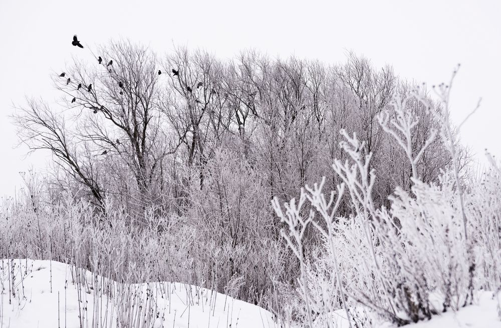 Photograph by Юлия Яровая