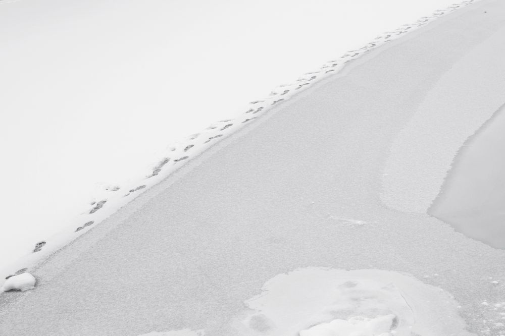 Photograph by Юлия Яровая