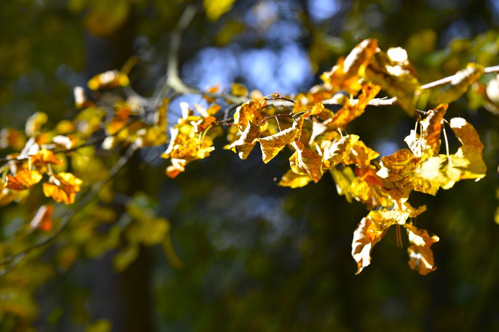 Photograph by Юрий Бичеров