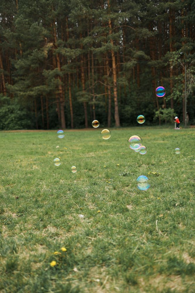 Фотография автора Анна Хейфиц