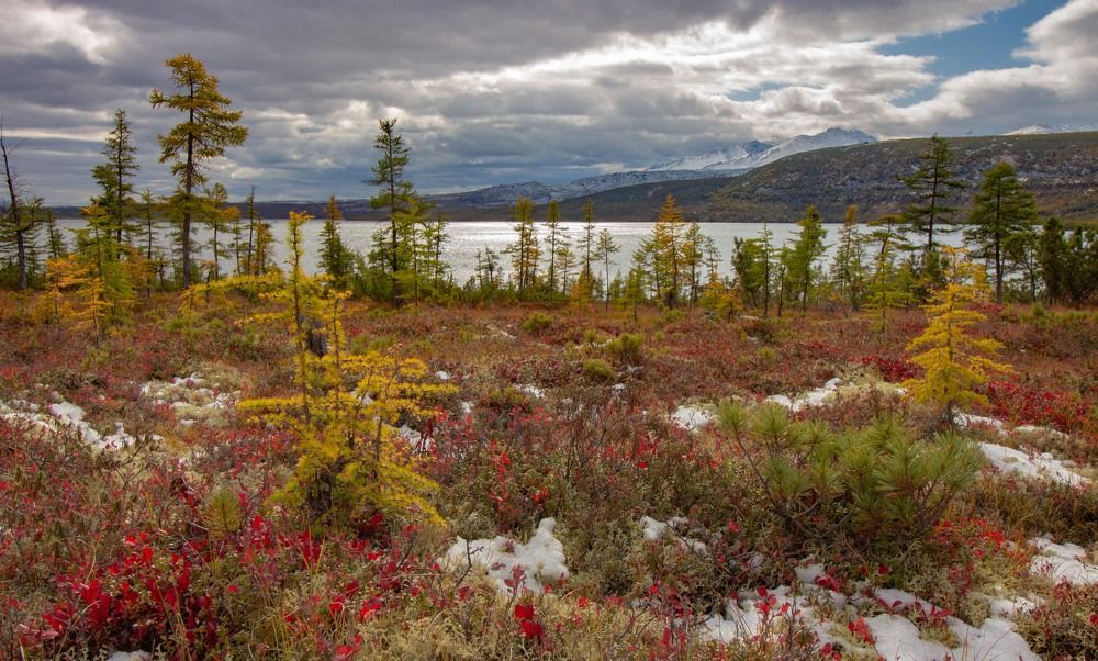 Photograph by Александр Довганюк