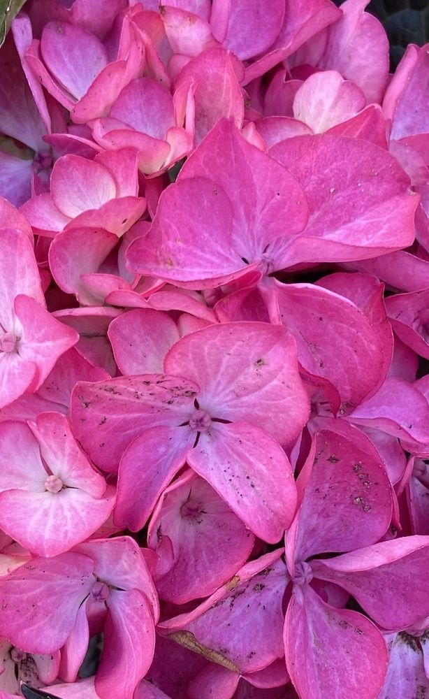 Photograph by Ирина Молибог