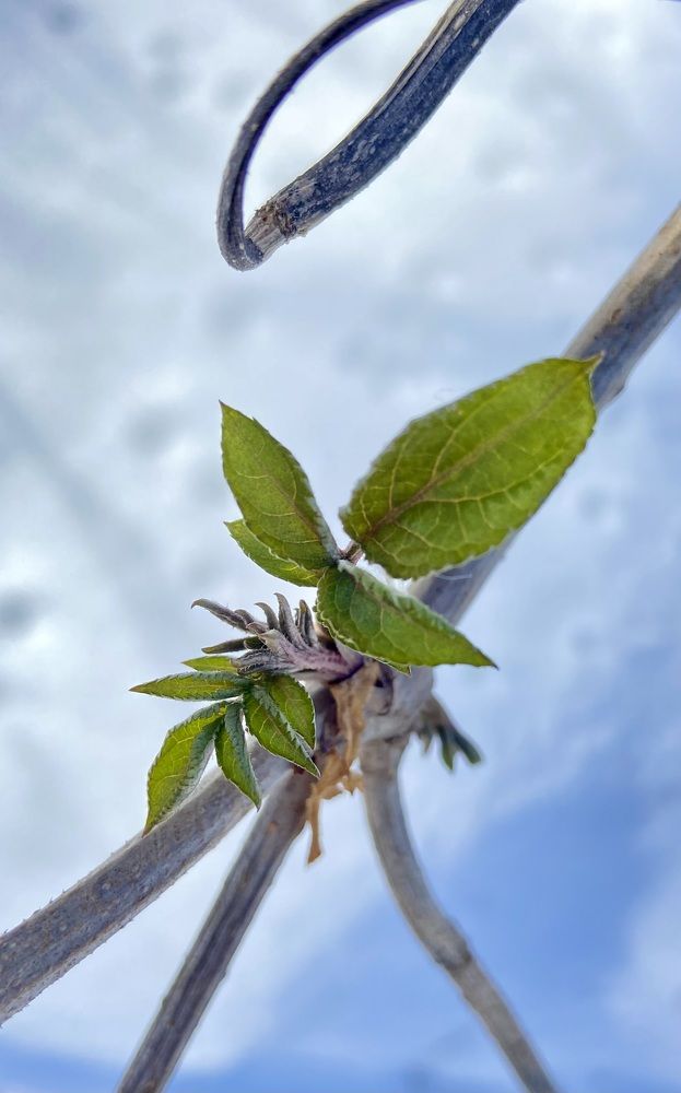 Photograph by Ирина Молибог