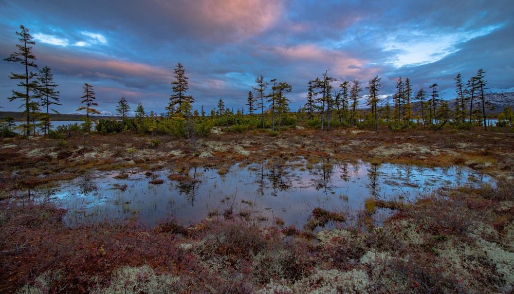 Фотография автора Александр Довганюк