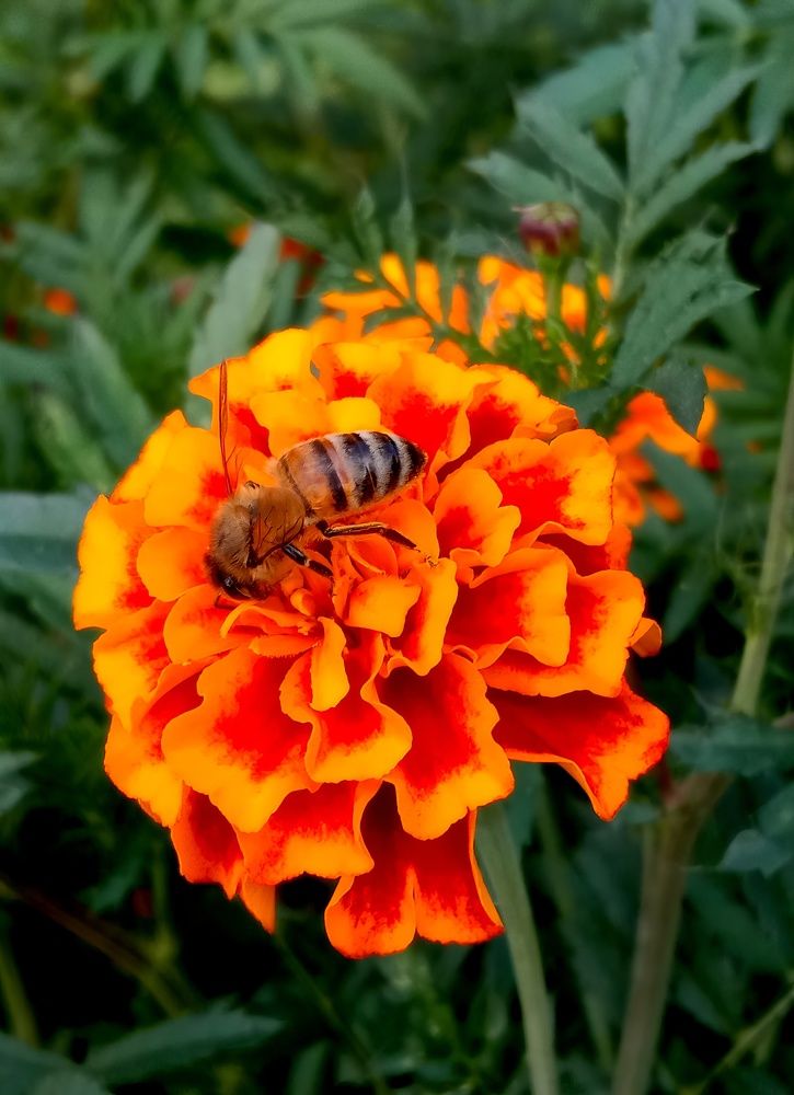 Photograph by Глеб Кузьминых