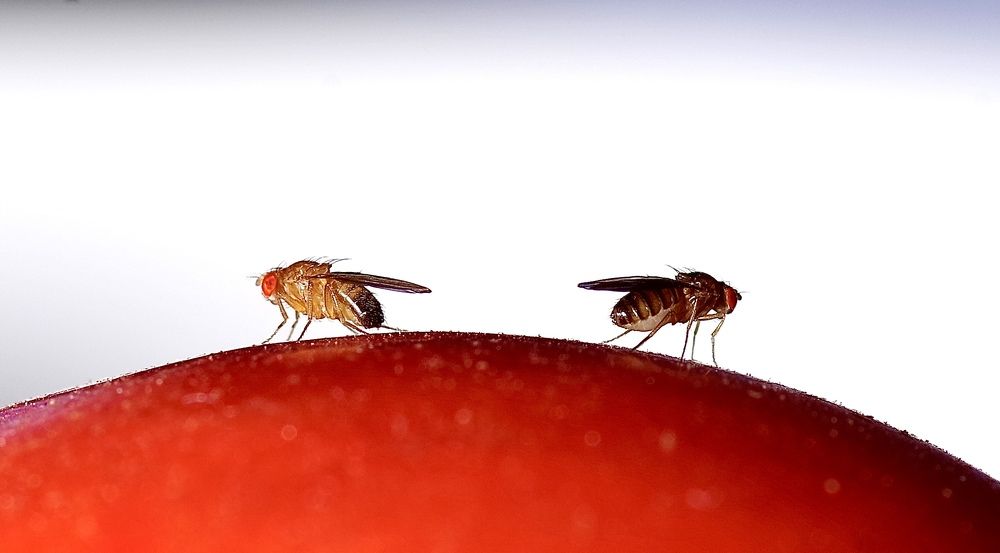 Photograph by Олег Китаев