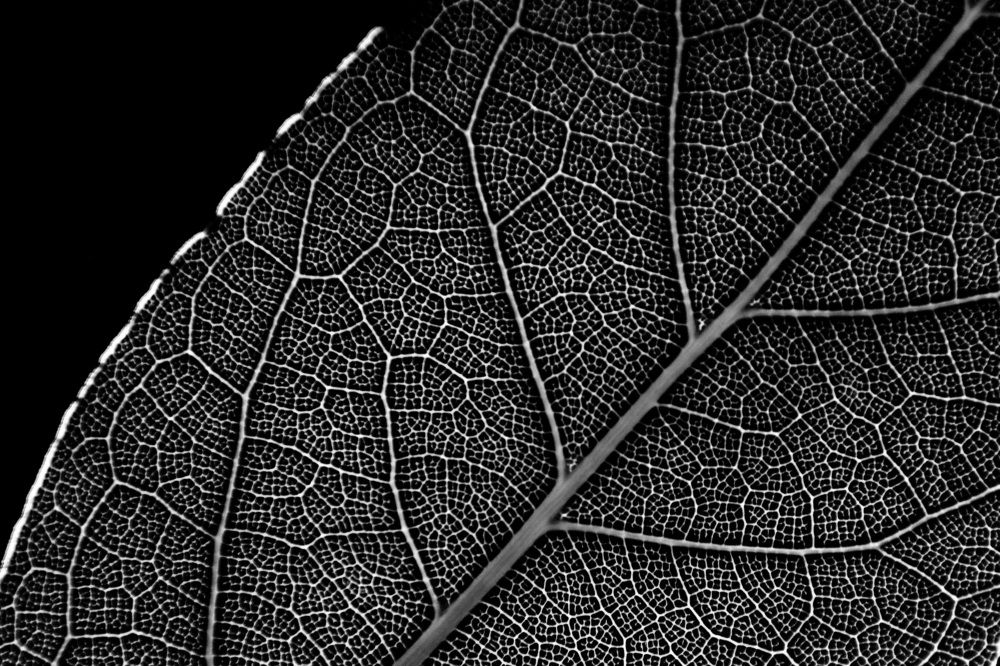 Photograph by Елена Ласун