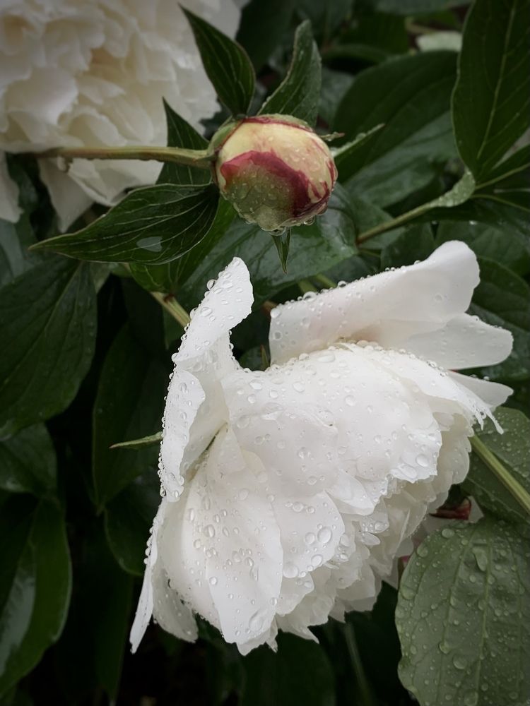 Photograph by Татьяна Семёнова