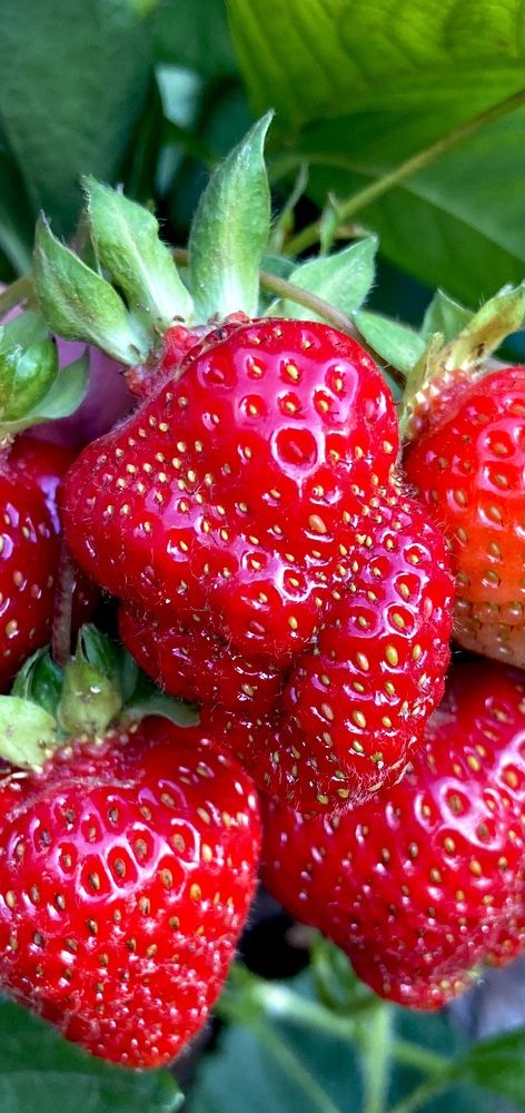 Photograph by Ирина Молибог