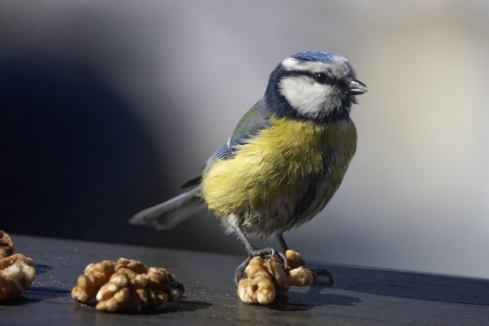 Photograph by Пономарев Илья