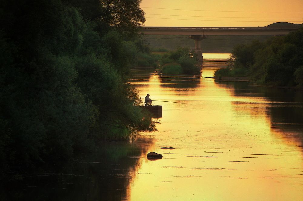 Photograph by Елена Ласун