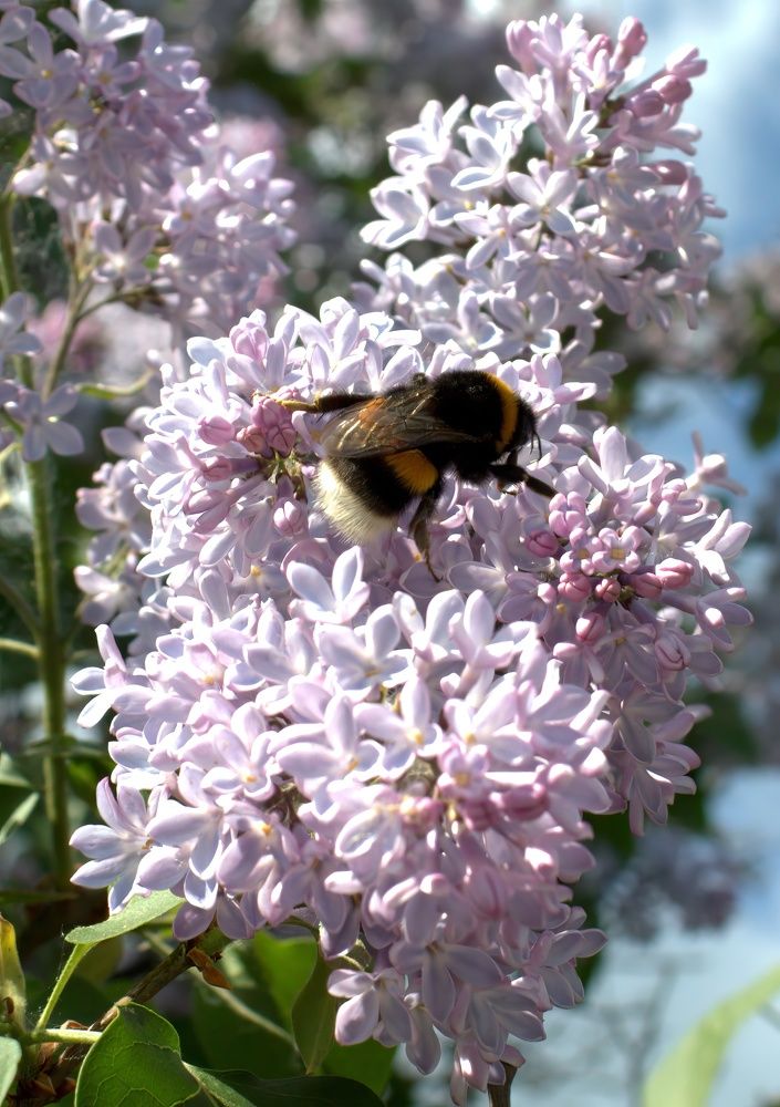 Photograph by Глеб Кузьминых