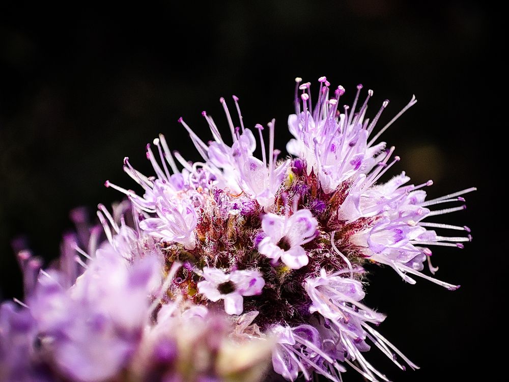 Photograph by mahdi roozbahani