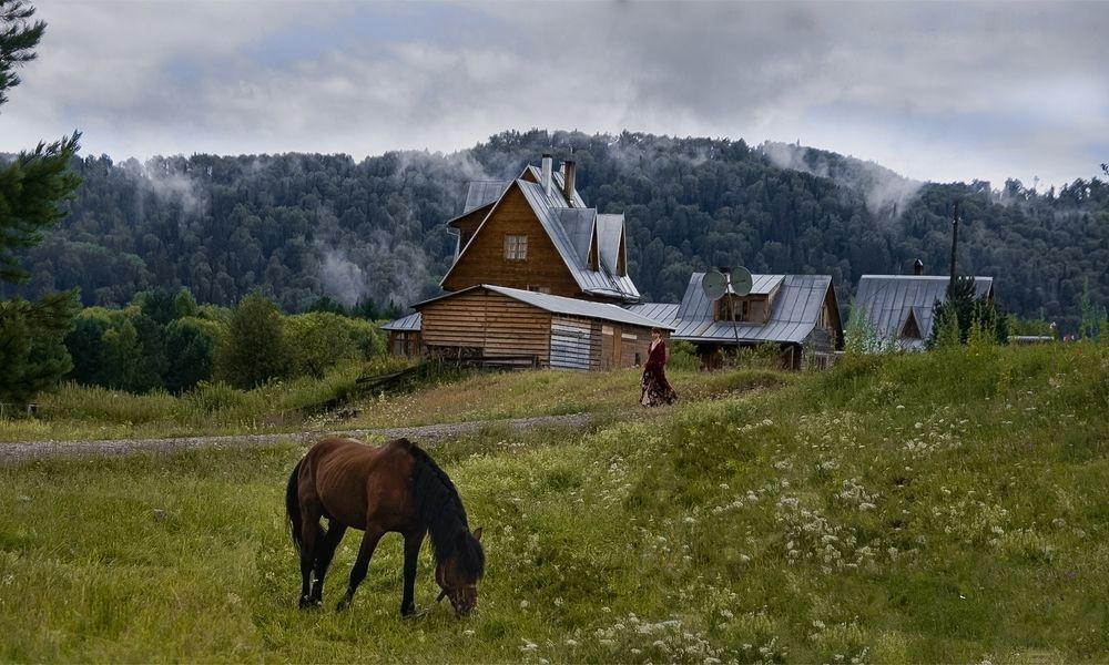Фотография автора Светлана Воротынцева