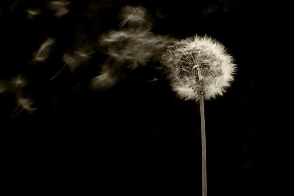 Photograph by Анна Марковская