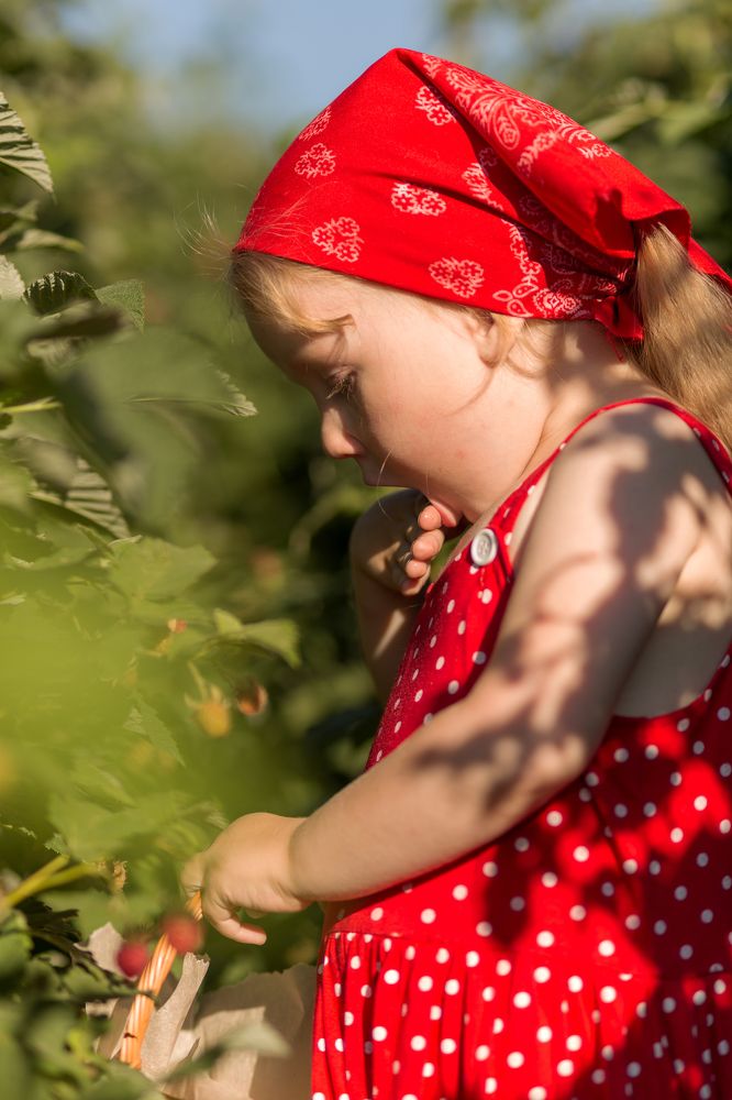 Photograph by Ирина Целовальникова