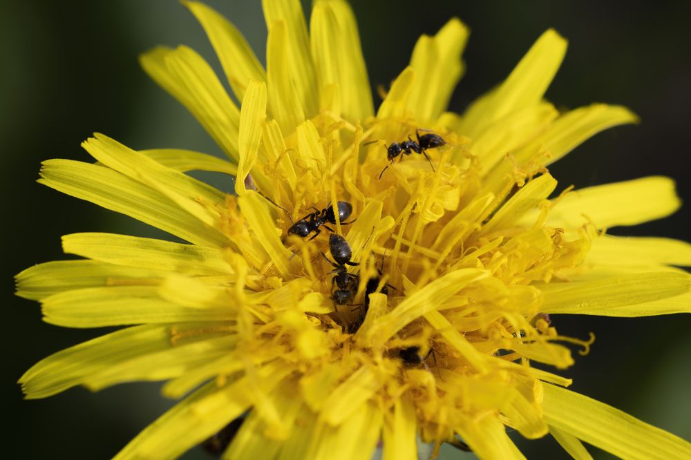 Photograph by Пономарев Илья