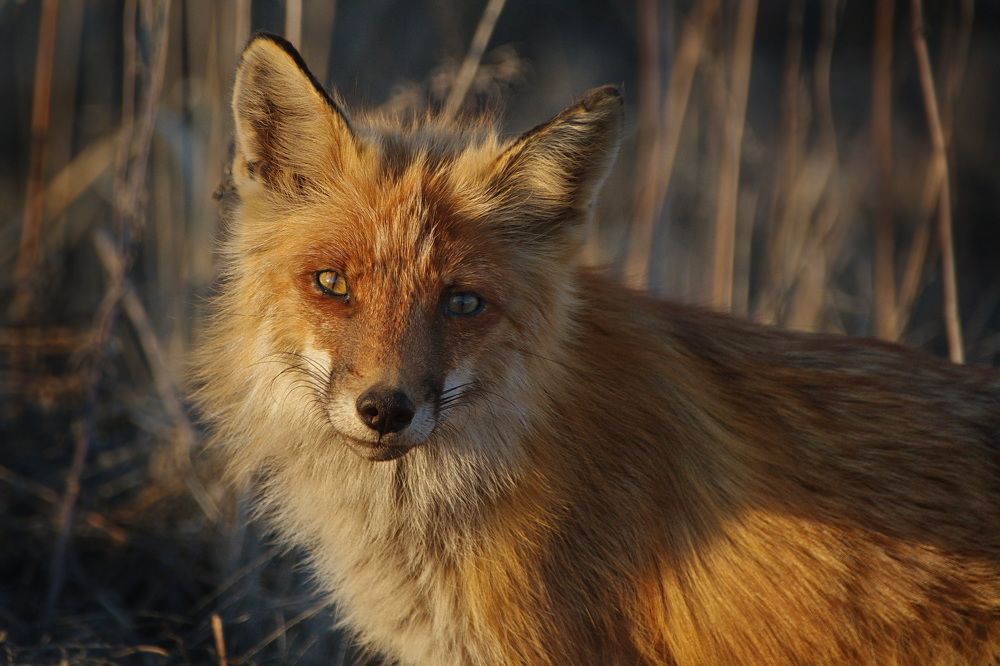 Photograph by Елена Ласун