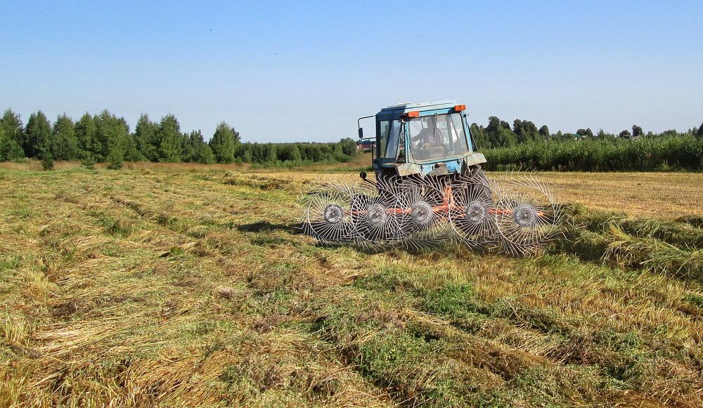 Сгребание сена.