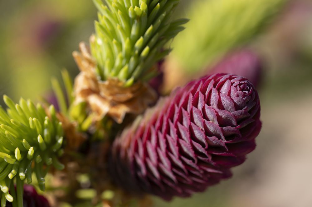 Photograph by Пономарев Илья