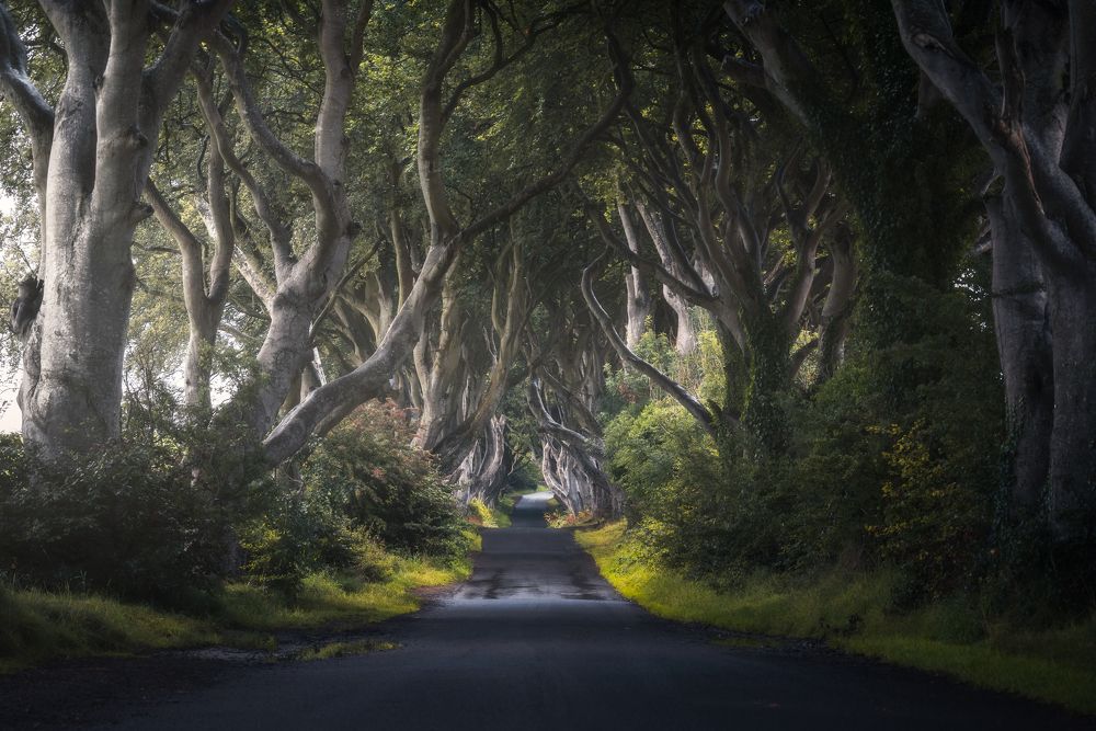 Photograph by ANDREA NIGRA