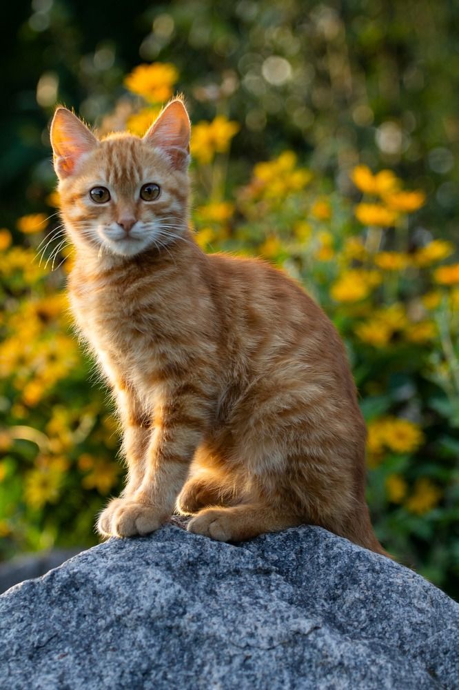 Photograph by даша ващенко