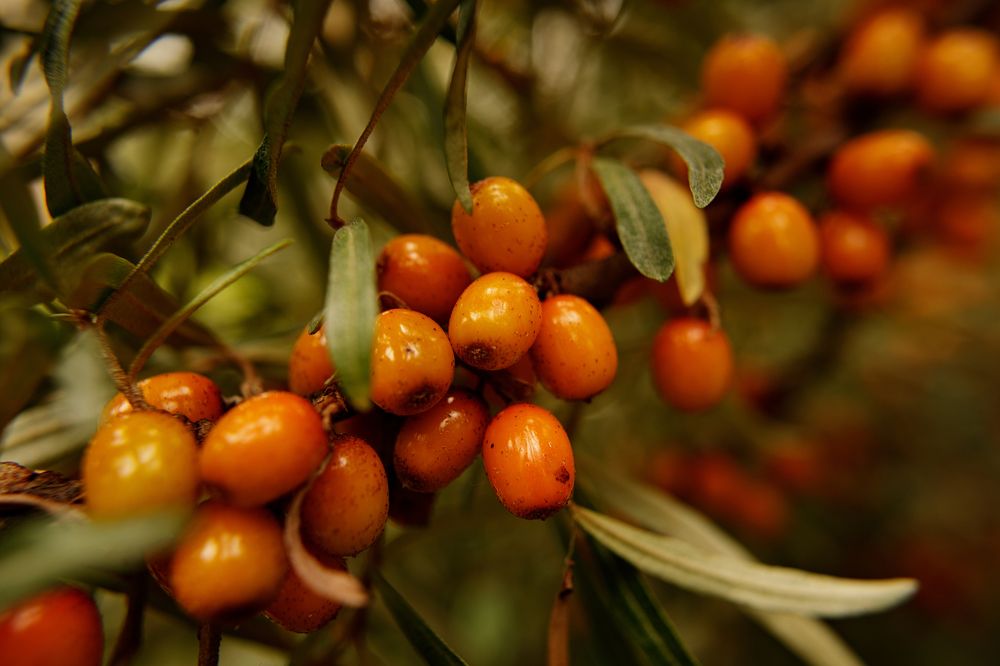 Photograph by Наталья Смирнова