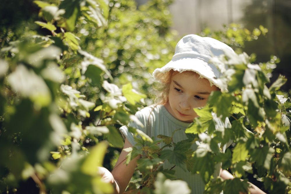 Photograph by Наталья Смирнова