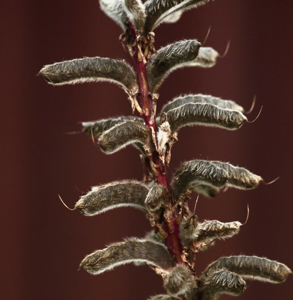 Фотография автора Galina Sa