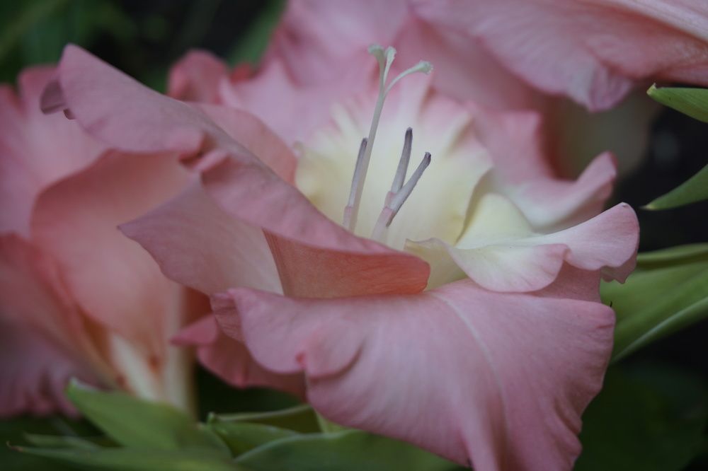 Photograph by Мария Халуторных