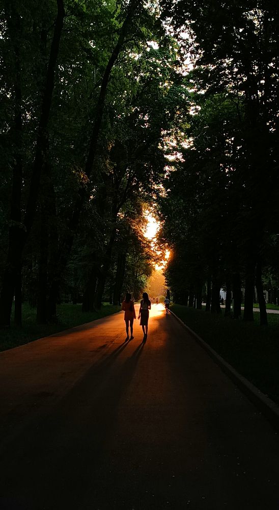 Photo #9559995