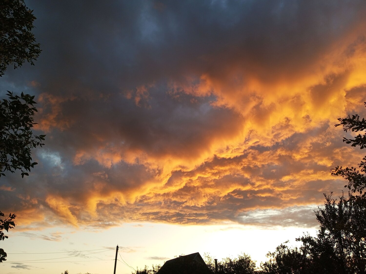 Photo #9559999