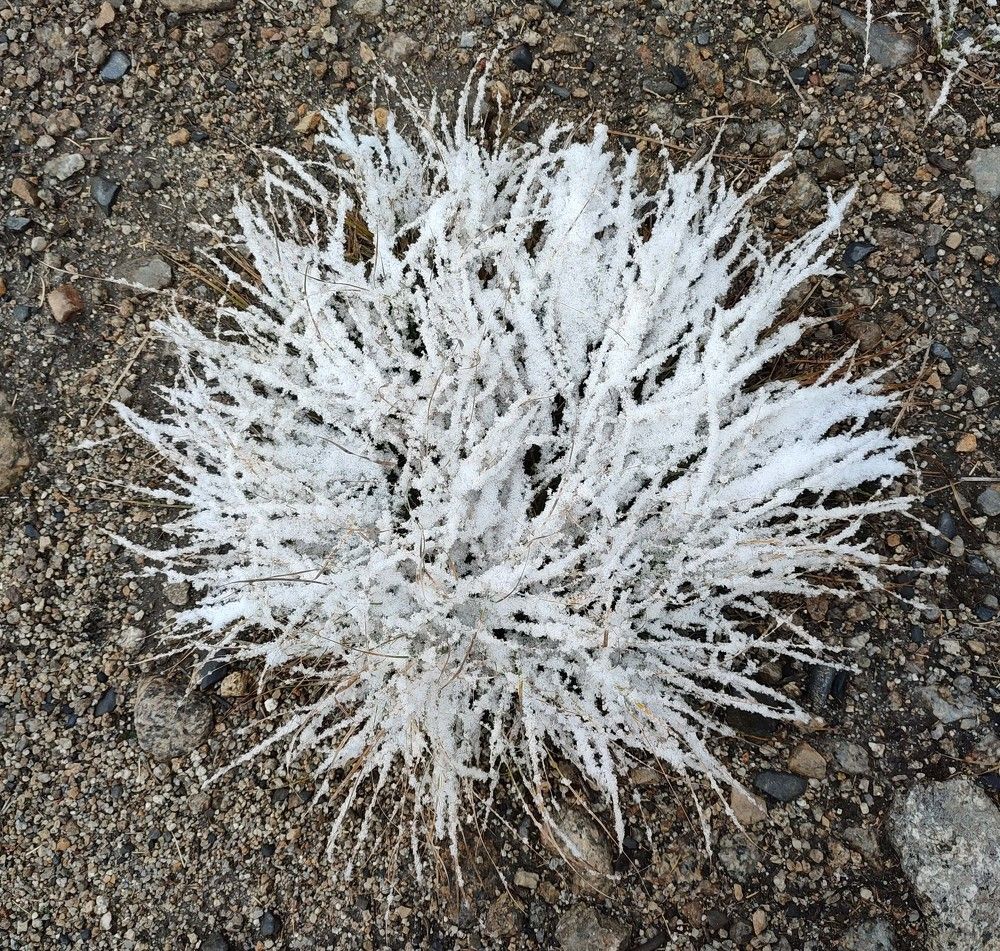 Фотография автора Александр Довганюк