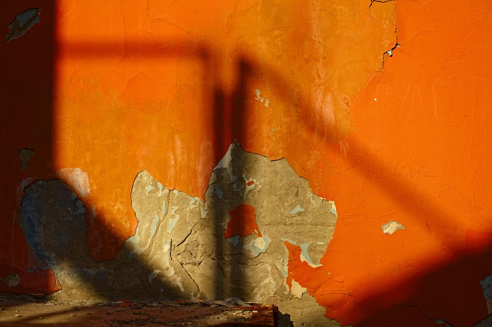 Photograph by Евгений Козлов