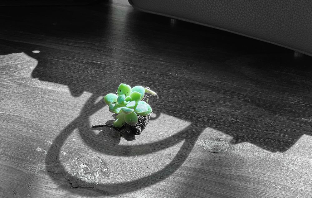 Photograph by THANH TUNG PHAM